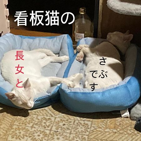 Guest House Salt Beach Yokkaichi Εξωτερικό φωτογραφία