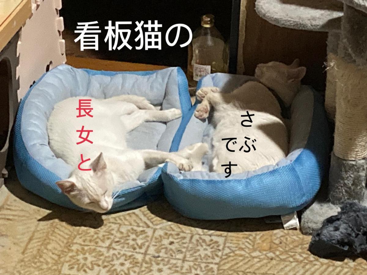Guest House Salt Beach Yokkaichi Εξωτερικό φωτογραφία
